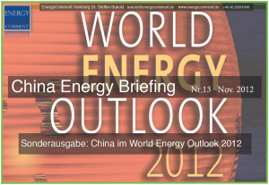 china-energy-briefing-13-deckblatt