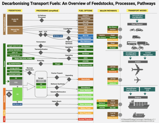 Decarbonising Transport Fuels: An Overview of Feedstocks, Processes, Pathways