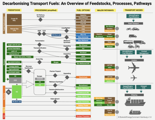 Decarbonising Transport Fuels: An Overview of Feedstocks, Processes, Pathways