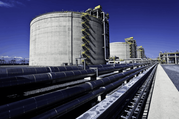 Shipping Fuels 2025 – Bunker Sales and Decarbonisation 